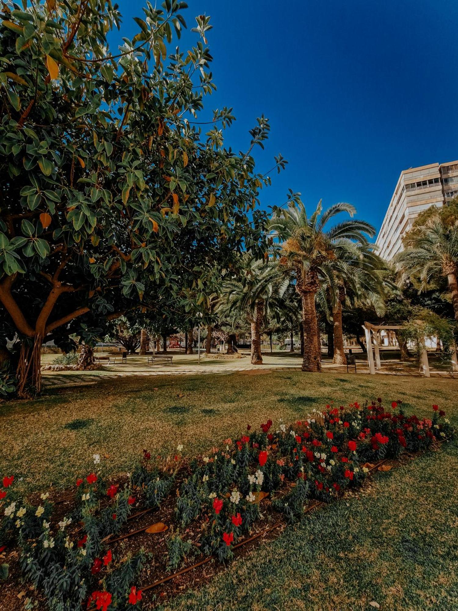 Sea Apartment Alicante Exterior photo
